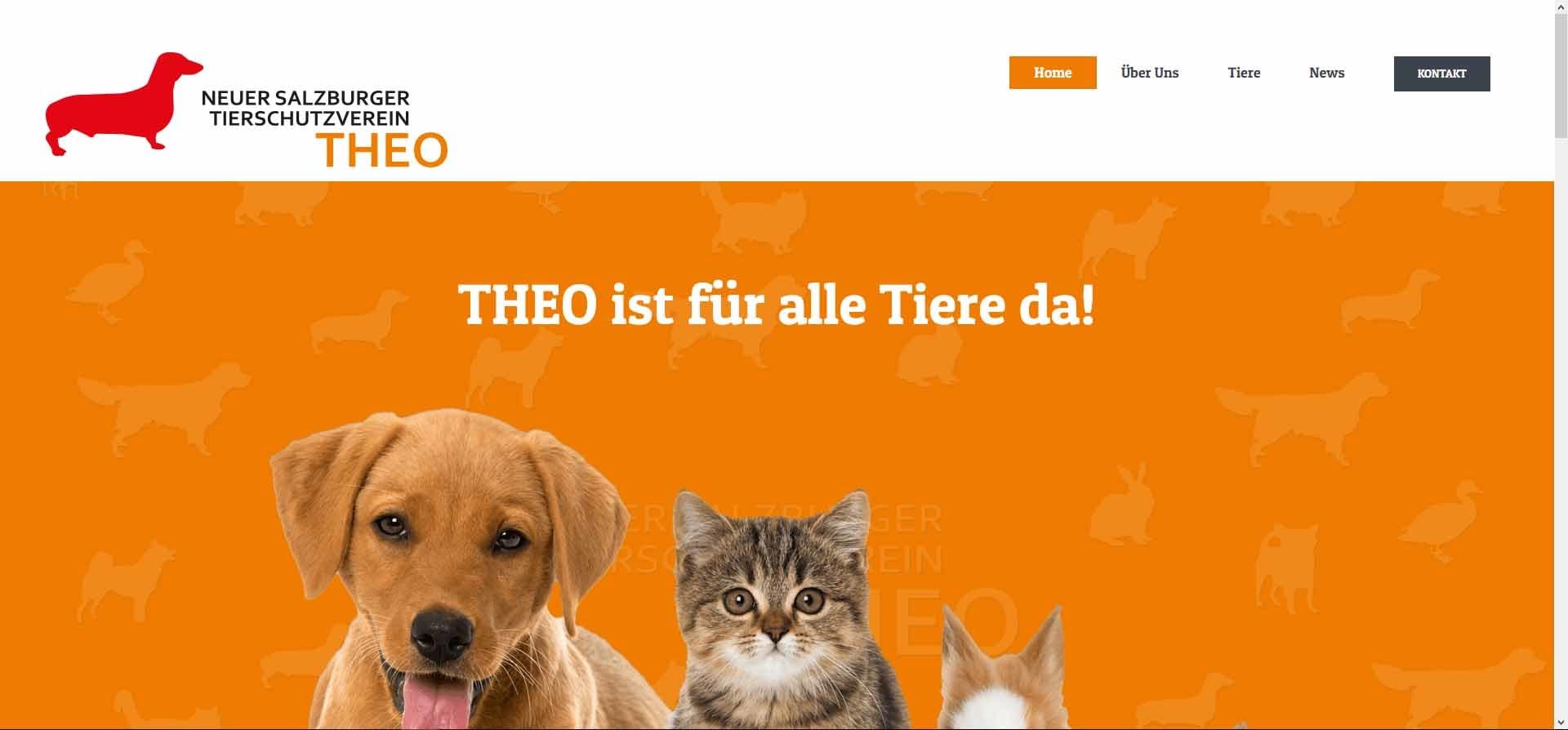 Referenz Tierheim Theo